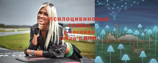 индика Беломорск