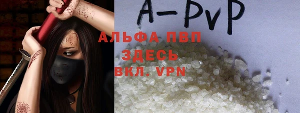 индика Беломорск