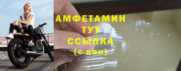 индика Беломорск