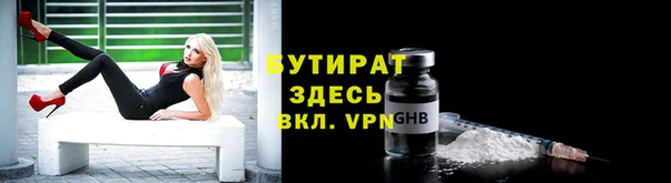 индика Беломорск