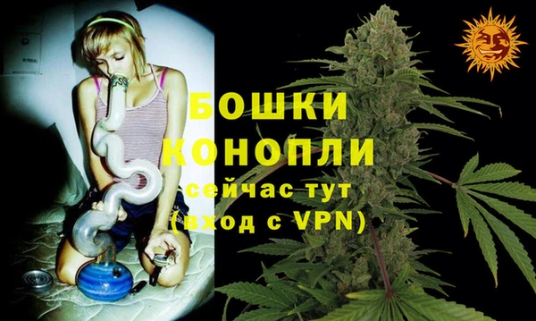 индика Беломорск