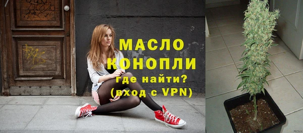 индика Беломорск