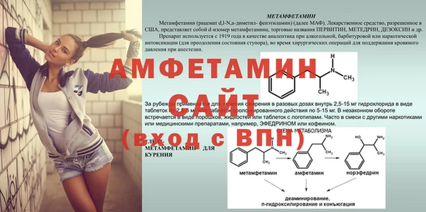 индика Беломорск