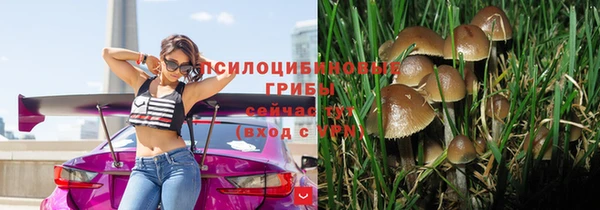 индика Беломорск