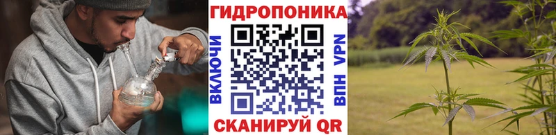 Канабис марихуана Фурманов